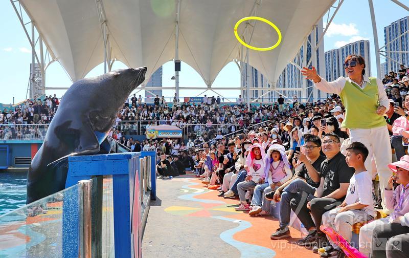 新澳2025今晚开奖结果揭晓,激动人心的时刻来临,新澳2025今晚开奖结果震撼揭晓,激动人心的时刻来临!