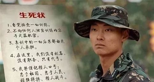 猎人学校毕业勋章,荣耀与责任的象征,猎人学校毕业勋章,荣耀与责任的标志