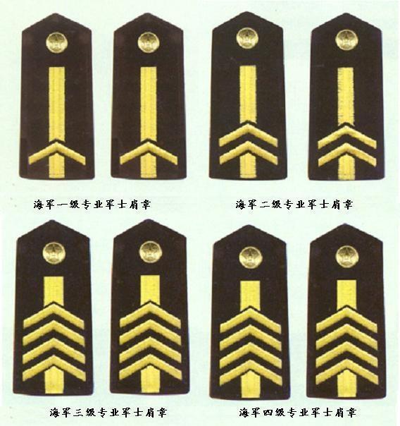 军士级别,荣誉与责任的象征,军士级别,荣誉与责任的标志