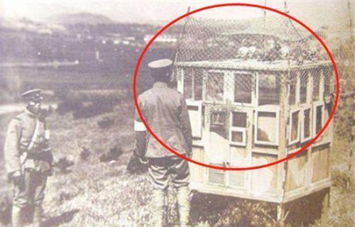 军情密码,深度解析与重要性探讨,军情密码,深度解析及其重要性探讨