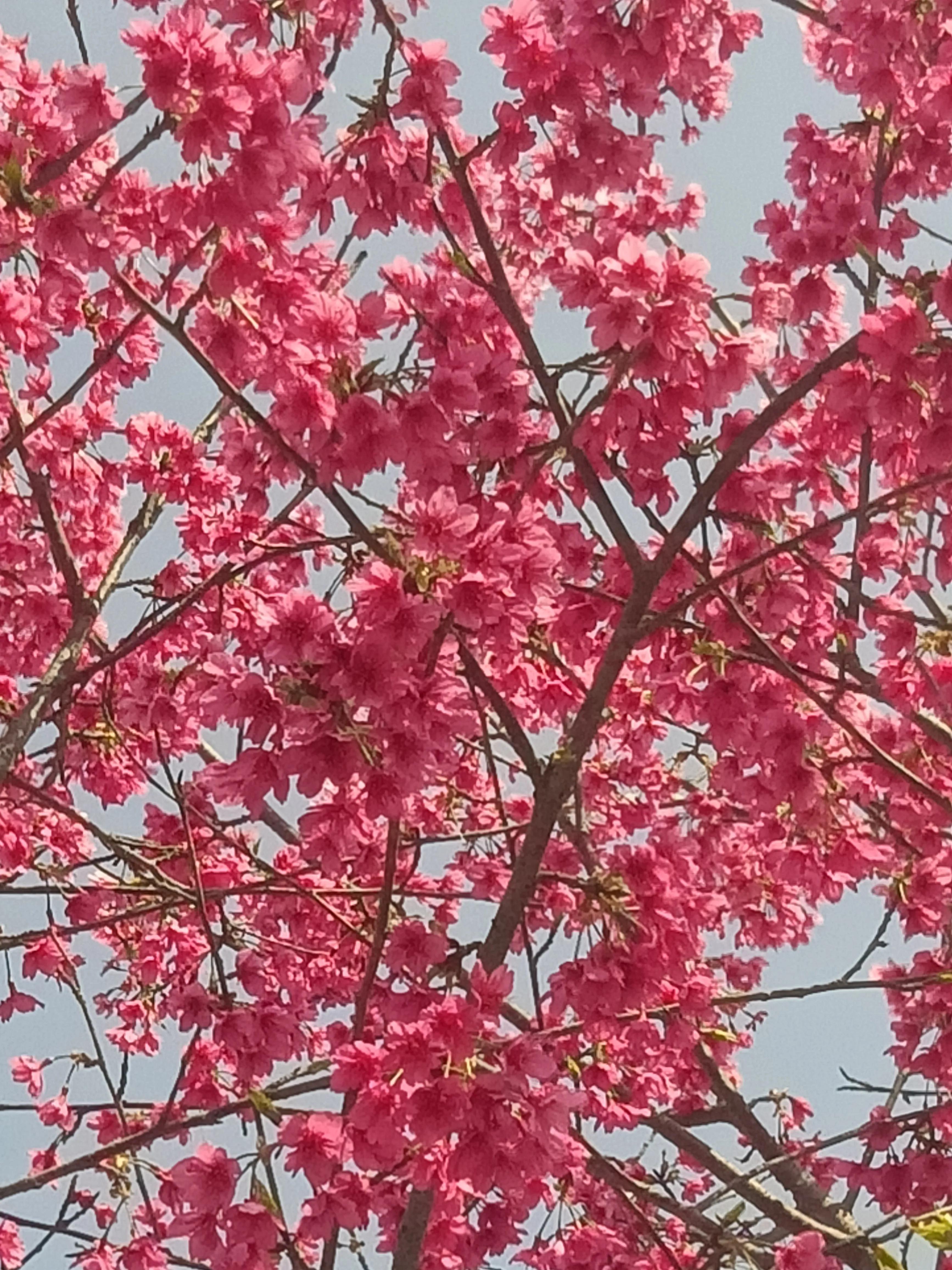 今天几点立春——春天的启示与感悟,立春时刻,春天的启示与感悟