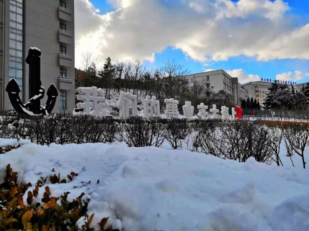 大连舰艇学院官网地址及其重要性,大连舰艇学院官网地址及其影响力与重要性概述