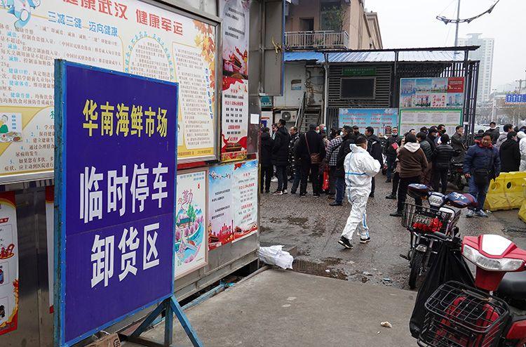 武汉华南海鲜市场女老板照片背后的故事,武汉华南海鲜市场女老板背后的故事揭秘