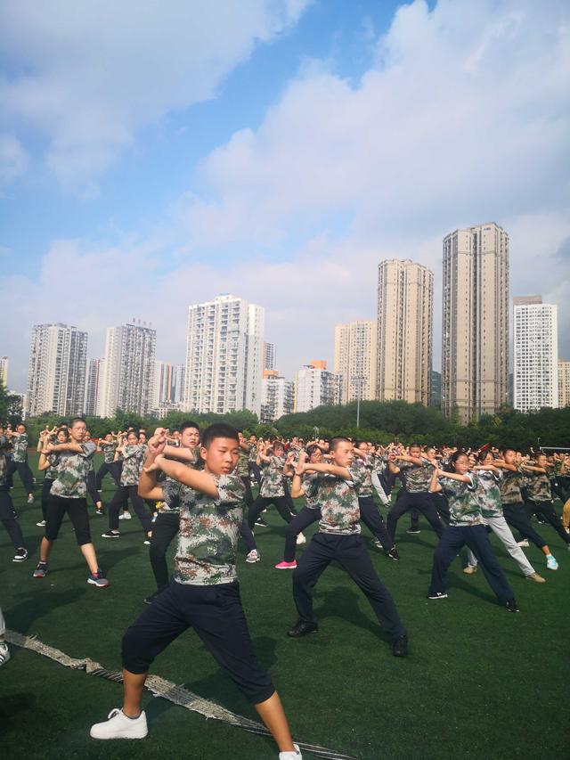 南岸区人民武装部官网,连接军民,共筑国防的桥梁,南岸区人民武装部官网,军民融合的桥梁,共筑国防的坚实阵地