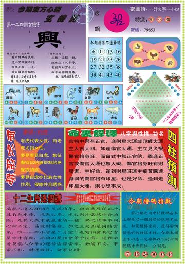 王中王六肖中特一网，探索奥秘与预测未来，王中王六肖中特一网，探索奥秘与预测未来之路