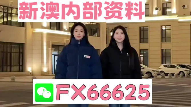 王中王富婆中一肖,探寻背后的故事与真相,王中王富婆中一肖,揭秘背后的故事与真相