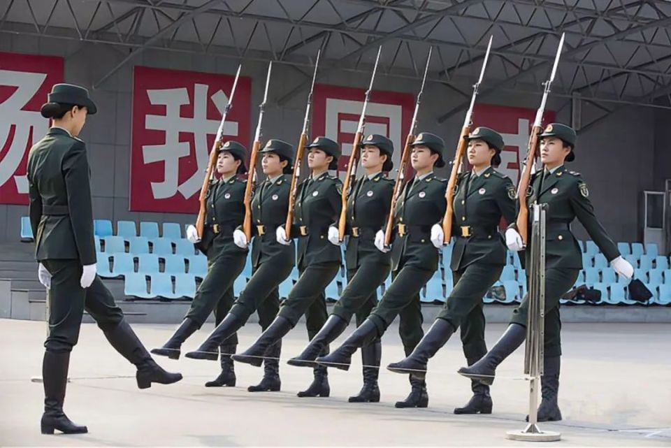 三军仪仗队视频观后感,三军仪仗队视频震撼心灵,荣耀与力量的展现