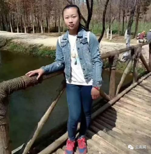 世界新闻头条2017,回顾与前瞻,世界新闻头条回顾与前瞻,2017年回顾及未来展望