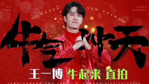 王中王一肖中特,探索新时代下的独特魅力与核心价值,新时代下的王中王一肖,独特魅力与核心价值的探索