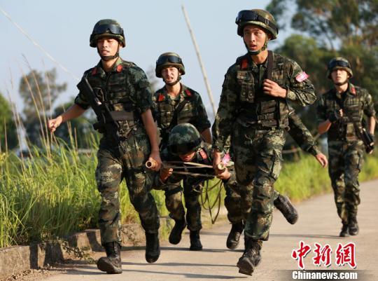 武警特战与机动部队,职责与能力的双重解读,武警特战与机动部队,职责与能力的深度剖析