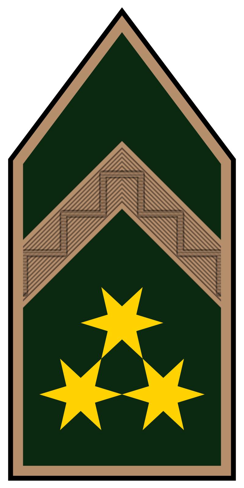 各国的军衔等级及标志，全球各国军衔等级与标志详解