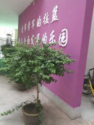 联勤保障基地，构建现代化军事保障体系的战略支点，联勤保障基地，现代化军事保障体系的战略支点构建