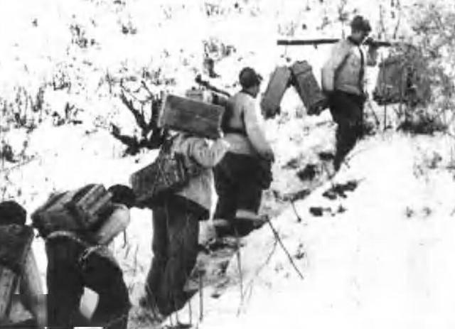 揭秘中国人民解放军历史上的传奇部队，38军113师338团的前世今生，揭秘传奇部队，中国人民解放军历史上的38军113师338团的前世今生