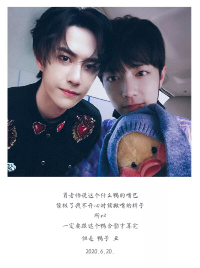 王中王一肖资料一肖中特,深度解析与探索,王中王一肖资料深度解析与探索,揭秘一肖中特的奥秘