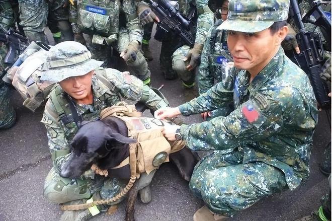 台湾征兵条件解析,台湾征兵条件详解