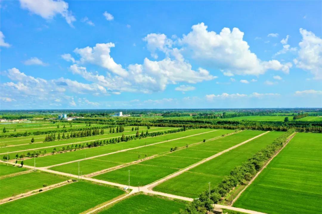 航空母舰怎么画,从想象到画布上的壮丽巨舰,从想象到画布,绘制航空母舰的壮丽巨舰指南