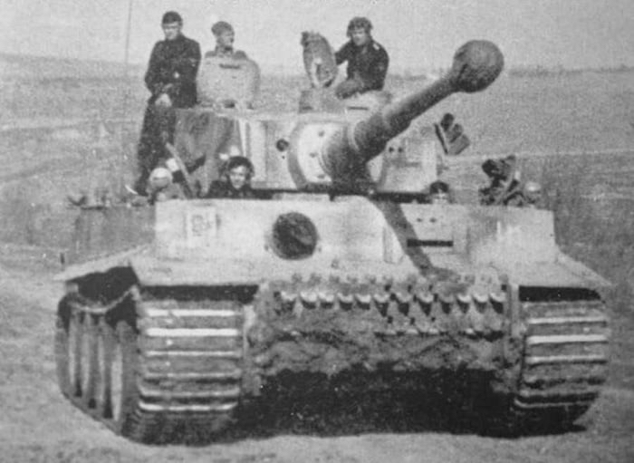 虎式的传奇足迹,探寻其在历史长河中的出现与影响,探寻虎式传奇,历史长河中的足迹与影响