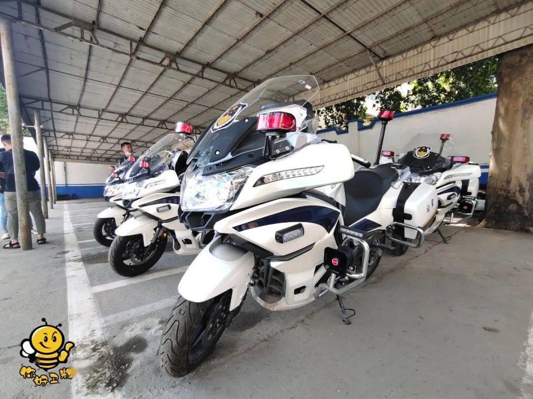 国宾护卫队大队长高峰,护卫荣耀,铸就传奇,国宾护卫队大队长高峰,护卫荣耀,传奇铸就