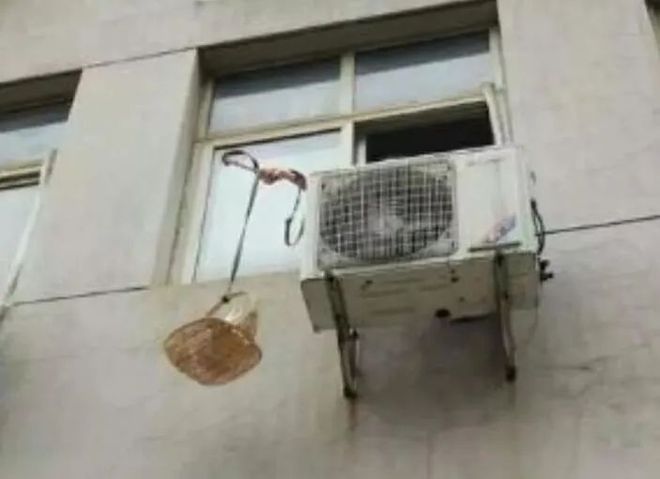 天涯论坛鬼话莲蓬，网络文化中的神秘角落，天涯论坛莲蓬鬼话，神秘角落里的网络文化探秘