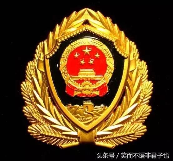 武警部队21式帽徽,新时代的象征与荣耀,武警部队21式帽徽,新时代的象征与荣誉