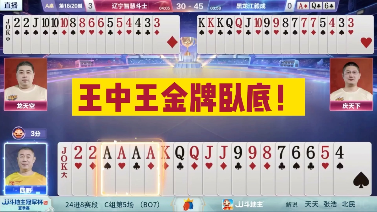 平特一肖王中王资料详解,平特一肖王中王资料全方位解析