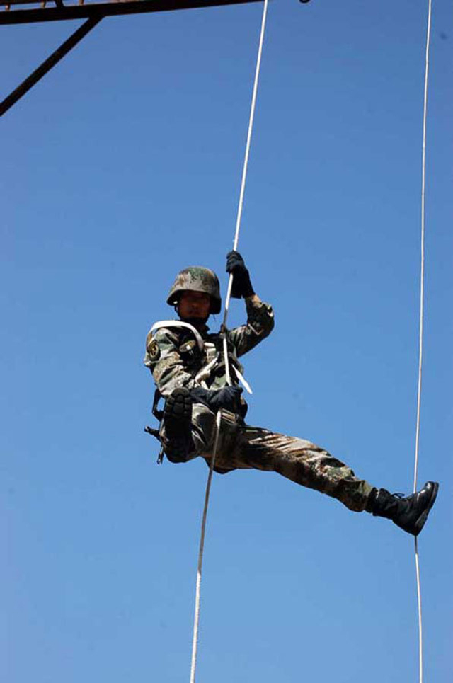 揭秘，83军猛虎特战旅的非凡实力与荣誉，揭秘，83军猛虎特战旅的强悍实力与辉煌荣誉