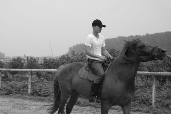 揭秘刘伯温一肖中平特一肖之谜,刘伯温一肖揭秘,平特一肖的神秘面纱