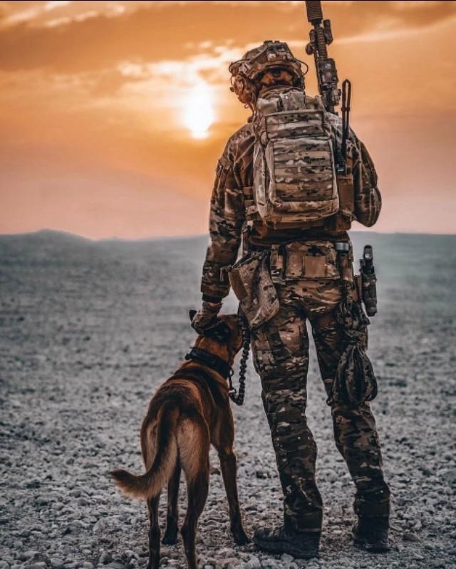 特种部队的使命与职责,现代战争与反恐行动中的先锋力量,特种部队,现代战争与反恐行动中的先锋力量,使命与职责解析