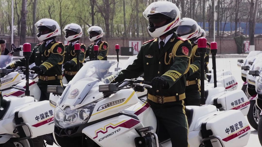 国宾护卫队所属国家的探究,国宾护卫队所属国家的深度探究