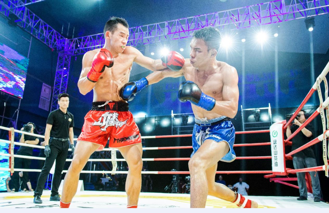 王中王欲钱诗猜一肖，探寻背后的文化意蕴与智慧启示，王中王欲钱诗背后的文化意蕴与智慧启示，探寻生肖之谜