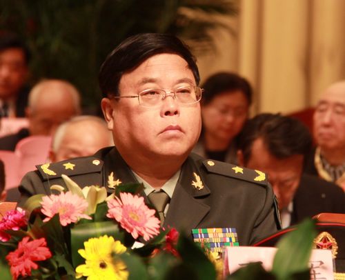 丁晓军军衔，荣耀与担当的象征，丁晓军军衔，荣耀与担当的典范象征