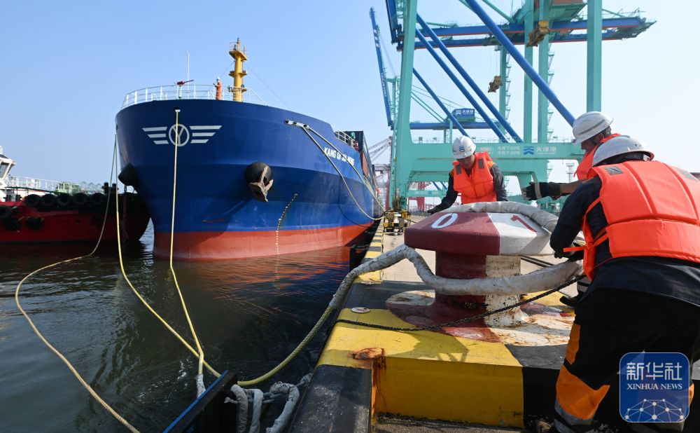 凤凰网新闻深度解析，航运业的变革与挑战，凤凰网新闻深度剖析，航运业的变革与面临的挑战