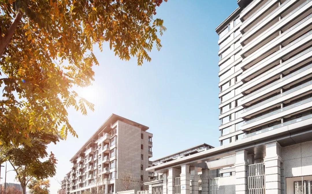 2020年重大事件简短新闻点评,2020年重大事件新闻点评回顾